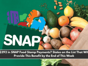 $292 in SNAP Food Stamp Payments States on the List That Will Provide This Benefit by the End of This Week