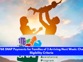 $768 SNAP Payments for Families of 3 Arriving Next Week Check Eligibility Criteria