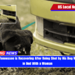 A Man From Tennessee is Recovering After Being Shot by His Dog While He Was in Bed With a Woman