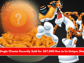 A Single Cheeto Recently Sold for $87,840 Due to Its Unique Shape