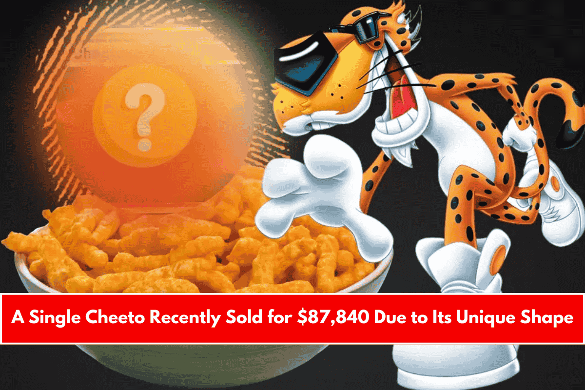 A Single Cheeto Recently Sold for $87,840 Due to Its Unique Shape