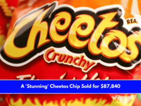 A 'Stunning' Cheetos Chip Sold for $87,840