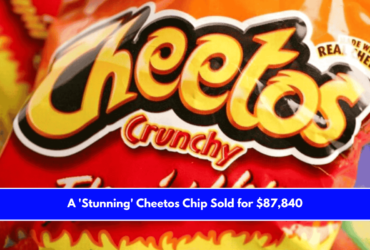 A 'Stunning' Cheetos Chip Sold for $87,840