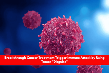 Breakthrough Cancer Treatment Trigger Immune Attack by Using Tumor Disguise