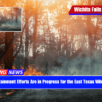 Containment Efforts Are in Progress for the East Texas Wildfire