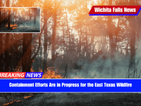 Containment Efforts Are in Progress for the East Texas Wildfire