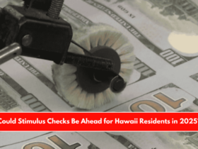 Could Stimulus Checks Be Ahead for Hawaii Residents in 2025