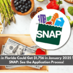 Families in Florida Could Get $1,756 in January 2025 Through SNAP See the Application Process!