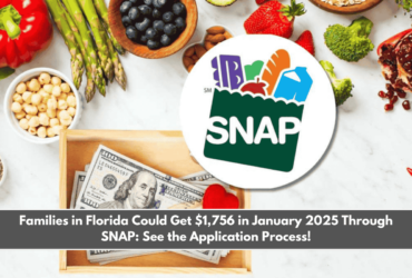 Families in Florida Could Get $1,756 in January 2025 Through SNAP See the Application Process!