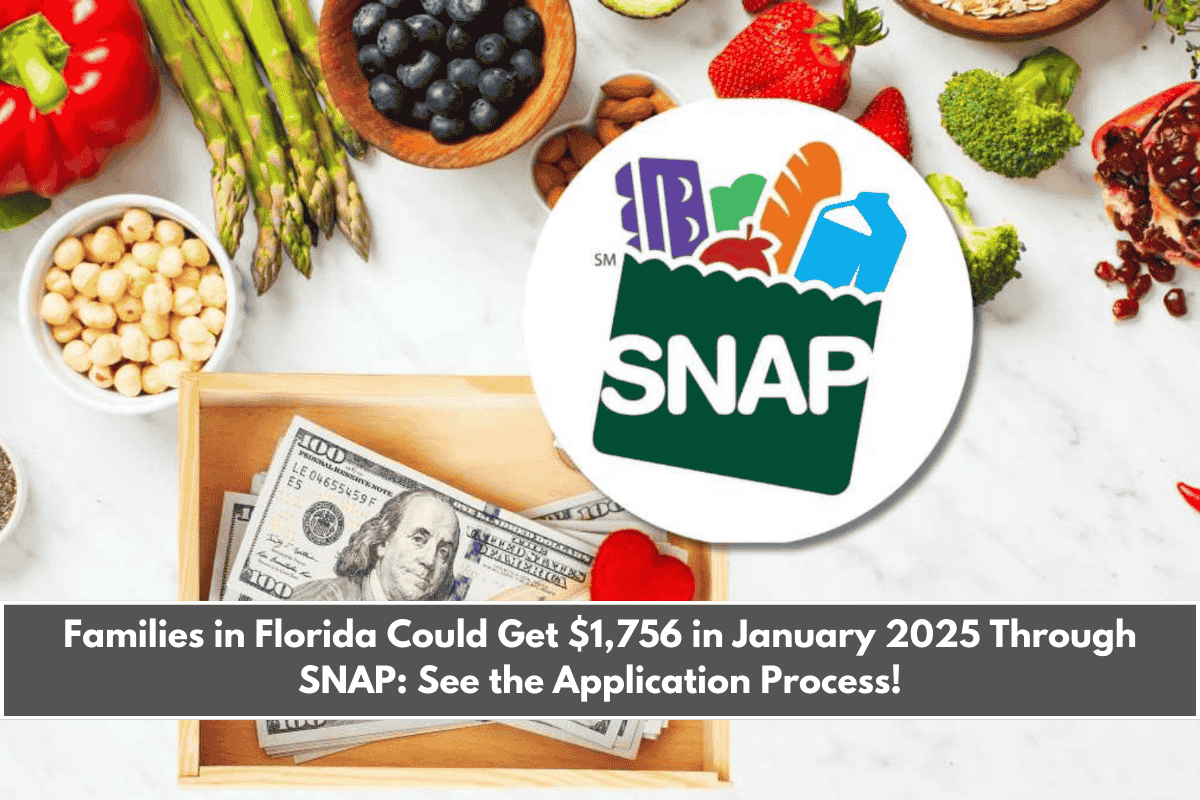 Families in Florida Could Get $1,756 in January 2025 Through SNAP See the Application Process!