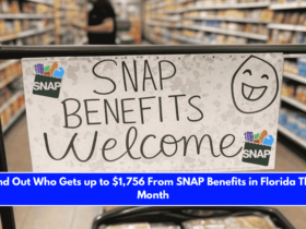 Find Out Who Gets up to $1,756 From SNAP Benefits in Florida This Month