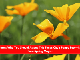 Here's Why You Should Attend This Texas City's Poppy Fest—It's Pure Spring Magic!