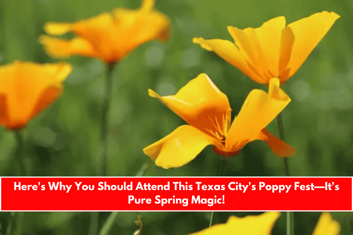 Here's Why You Should Attend This Texas City's Poppy Fest—It's Pure Spring Magic!