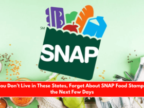 If You Don’t Live in These States, Forget About SNAP Food Stamps in the Next Few Days