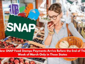 New SNAP Food Stamps Payments Arrive Before the End of This Week of March Only in These States