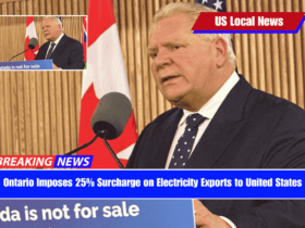 Ontario Imposes 25% Surcharge on Electricity Exports to United States