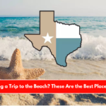 Organizing a Trip to the Beach These Are the Best Places in Texas