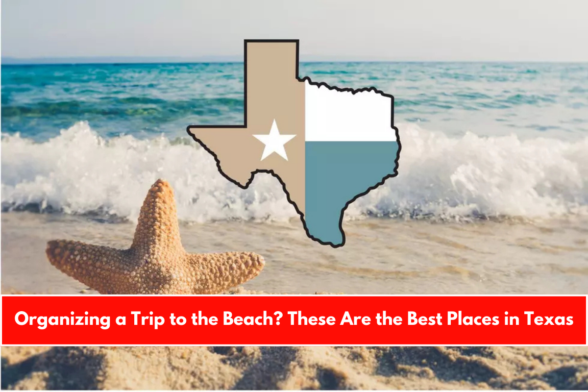 Organizing a Trip to the Beach These Are the Best Places in Texas