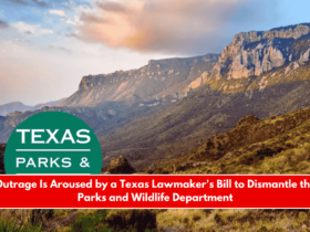 Outrage Is Aroused by a Texas Lawmaker's Bill to Dismantle the Parks and Wildlife Department