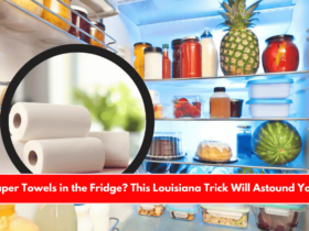 Paper Towels in the Fridge This Louisiana Trick Will Astound You!