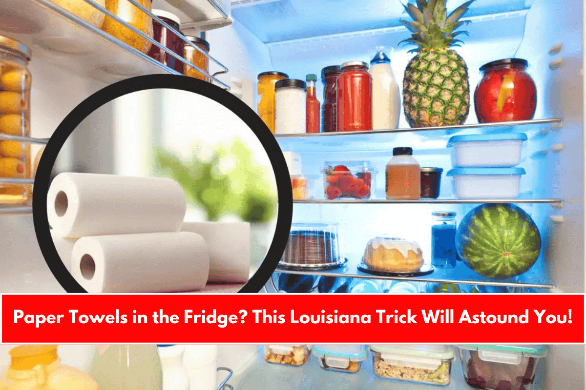 Paper Towels in the Fridge This Louisiana Trick Will Astound You!