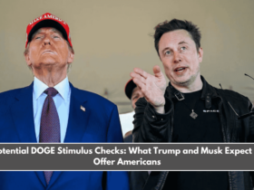 Potential DOGE Stimulus Checks What Trump and Musk Expect to Offer Americans