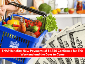 SNAP Benefits New Payments of $1,756 Confirmed for This Weekend and the Days to Come