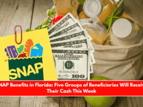 SNAP Benefits in Florida Five Groups of Beneficiaries Will Receive Their Cash This Week