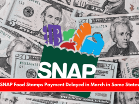 SNAP Food Stamps Payment Delayed in March in Some States