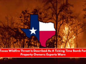 Texas Wildfire Threat Is Described As A Ticking Time Bomb For Property Owners Experts Warn