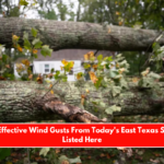 The Most Effective Wind Gusts From Today's East Texas Storms Are Listed Here