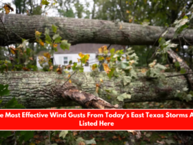 The Most Effective Wind Gusts From Today's East Texas Storms Are Listed Here