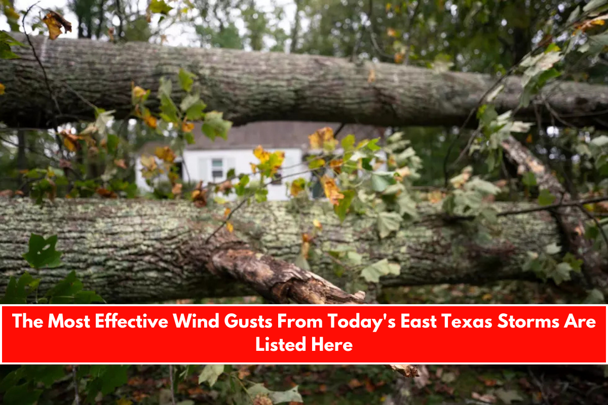 The Most Effective Wind Gusts From Today's East Texas Storms Are Listed Here