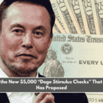 These Are the New $5,000 “Doge Stimulus Checks” That Elon Musk Has Proposed