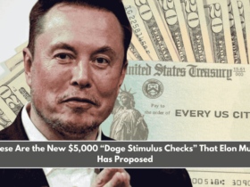 These Are the New $5,000 “Doge Stimulus Checks” That Elon Musk Has Proposed