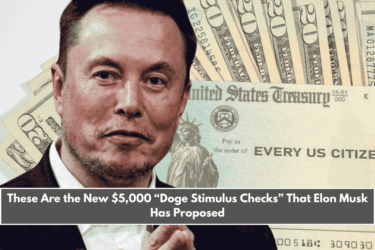 These Are the New $5,000 “Doge Stimulus Checks” That Elon Musk Has Proposed