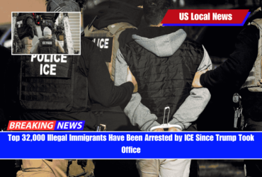 Top 32,000 Illegal Immigrants Have Been Arrested by ICE Since Trump Took Office