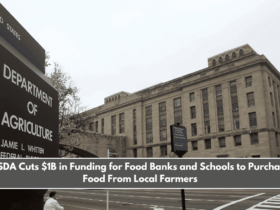 USDA Cuts $1B in Funding for Food Banks and Schools to Purchase Food From Local Farmers