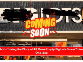 What's Taking the Place of All Those Empty Big Lots Stores Here’s One Idea