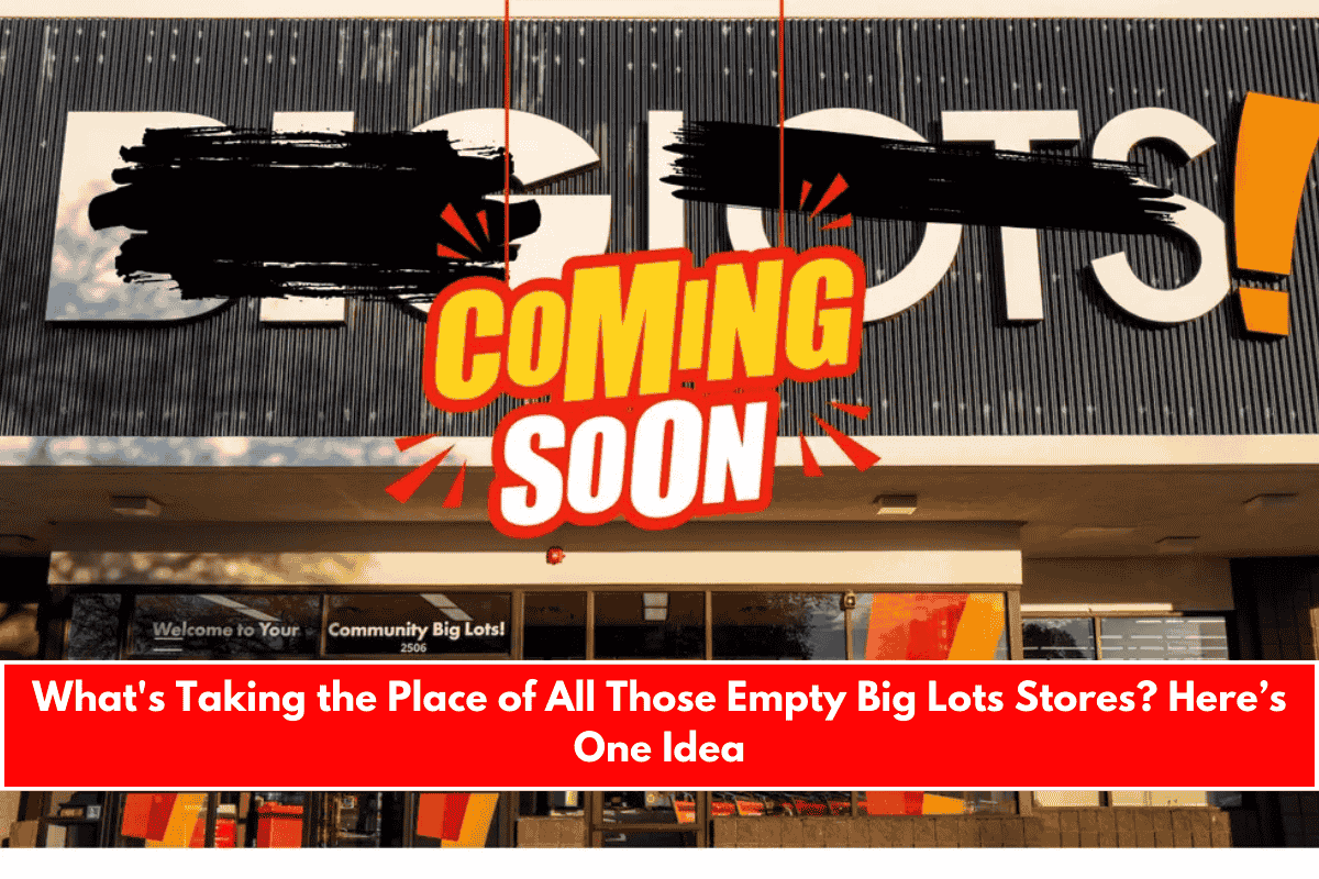 What's Taking the Place of All Those Empty Big Lots Stores Here’s One Idea