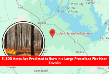 11,800 Acres Are Predicted to Burn in a Large Prescribed Fire Near Zavalla