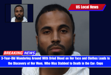 3-Year-Old Wandering Around With Dried Blood on Her Face and Clothes Leads to the Discovery of Her Mom, Who Was Stabbed to Death in the Car Cops