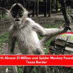 Drugs Worth Almost $1 Million and Spider Monkey Found Along the Texas Border