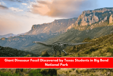 Giant Dinosaur Fossil Discovered by Texas Students in Big Bend National Park