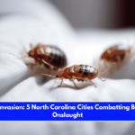 Insect Invasion 5 North Carolina Cities Combatting Bed Bug Onslaught