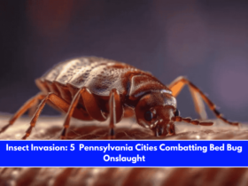Insect Invasion 5 Pennsylvania Cities Combatting Bed Bug Onslaught