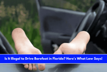 Is It Illegal to Drive Barefoot in Florida Here's What Law Says!