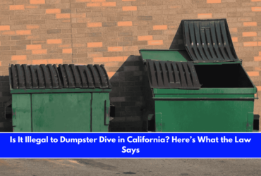 Is It Illegal to Dumpster Dive in California Here’s What the Law Says