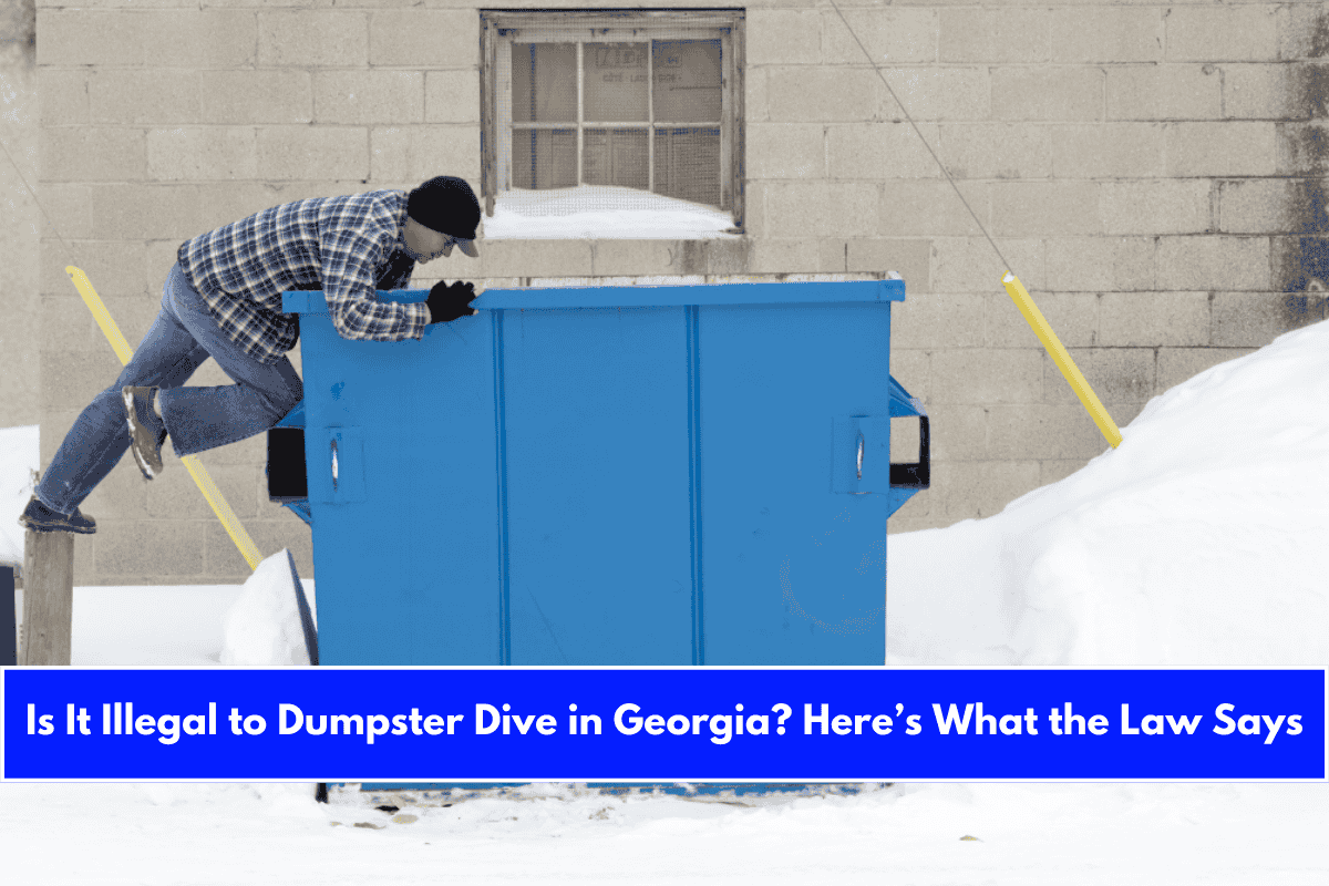 Is It Illegal to Dumpster Dive in Georgia Here’s What the Law Says