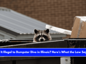 Is It Illegal to Dumpster Dive in Illinois Here’s What the Law Says